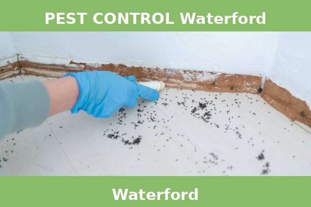 PEST CONTROL Waterford